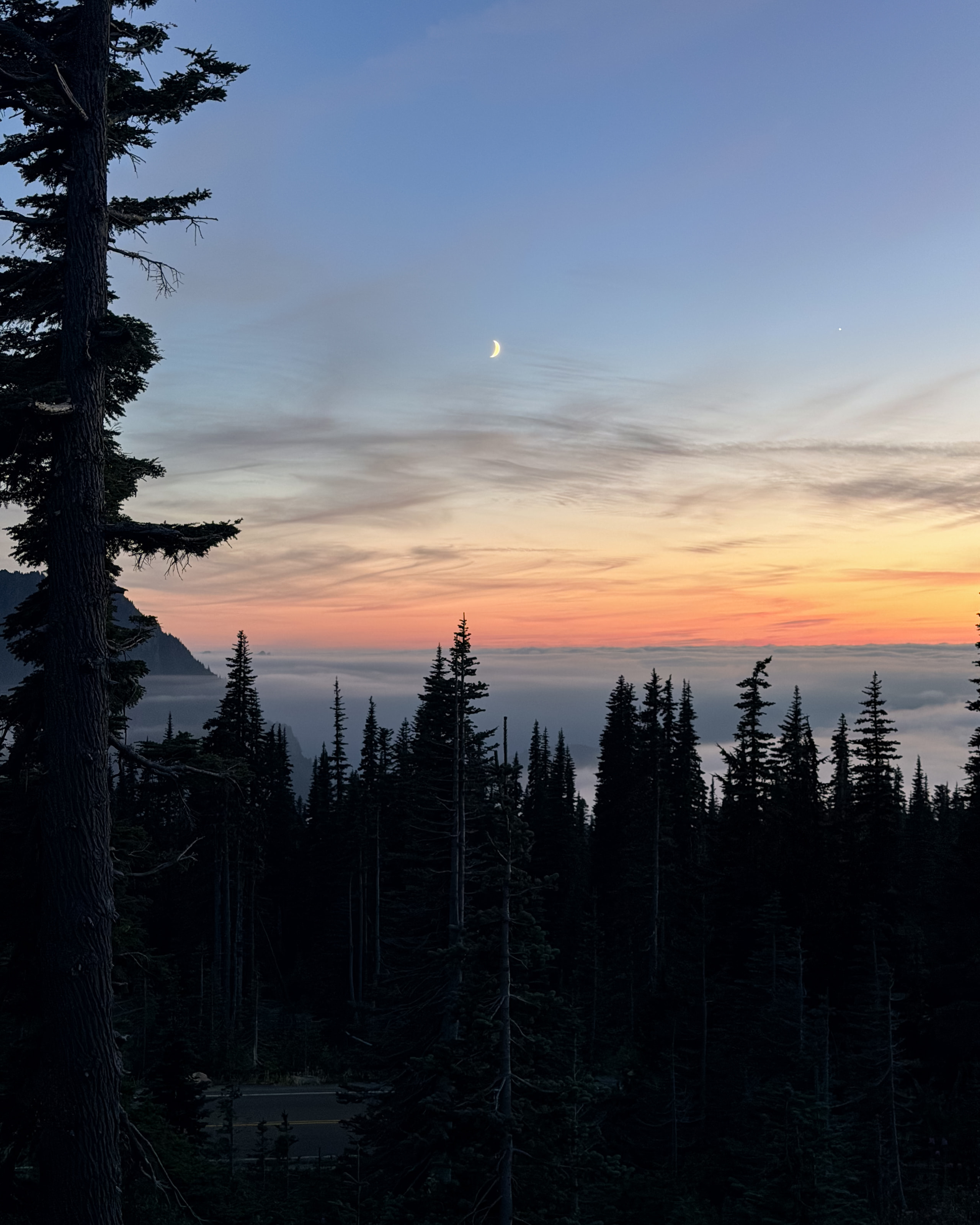 A crescent moon above a sunset-lit sea of clouds, with fir trees in silhouette.