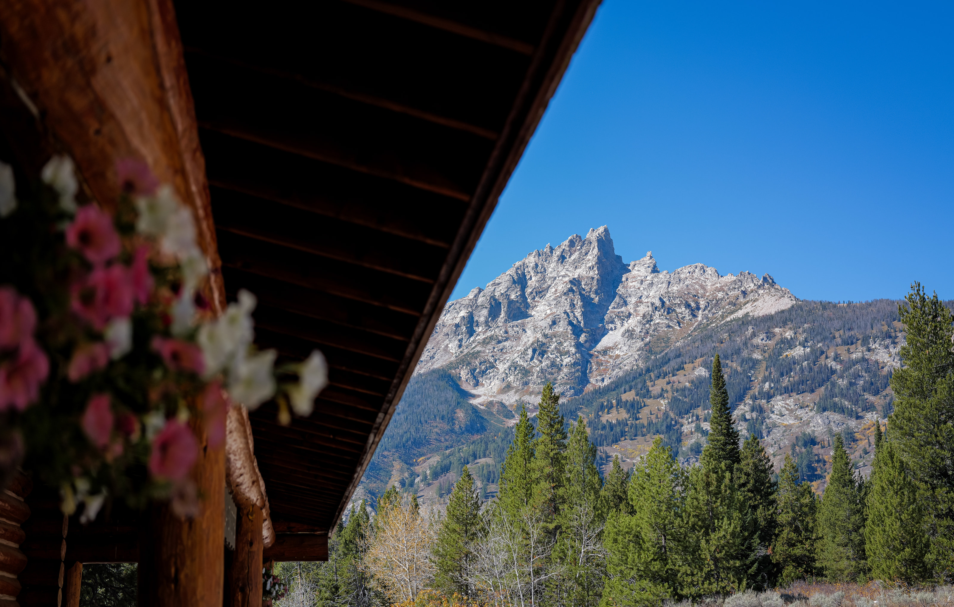 A granite peak framed by a cabin roof and hanging petunias.