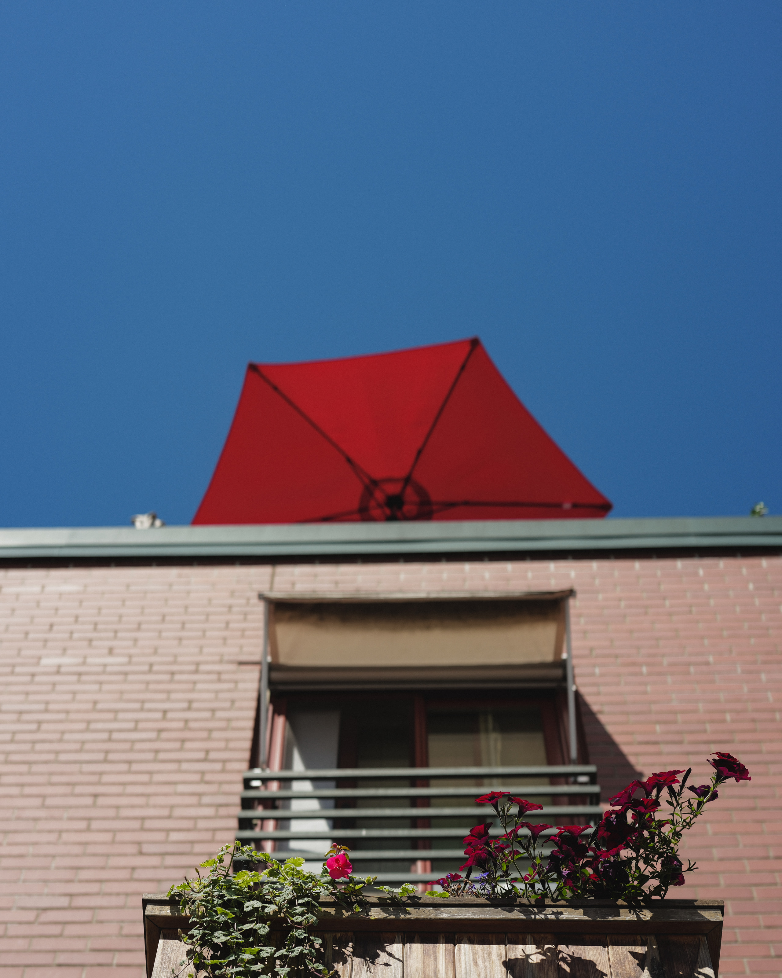 A red umbrella against a deep blue sky above a pink brick wall and a balcony with flowers.