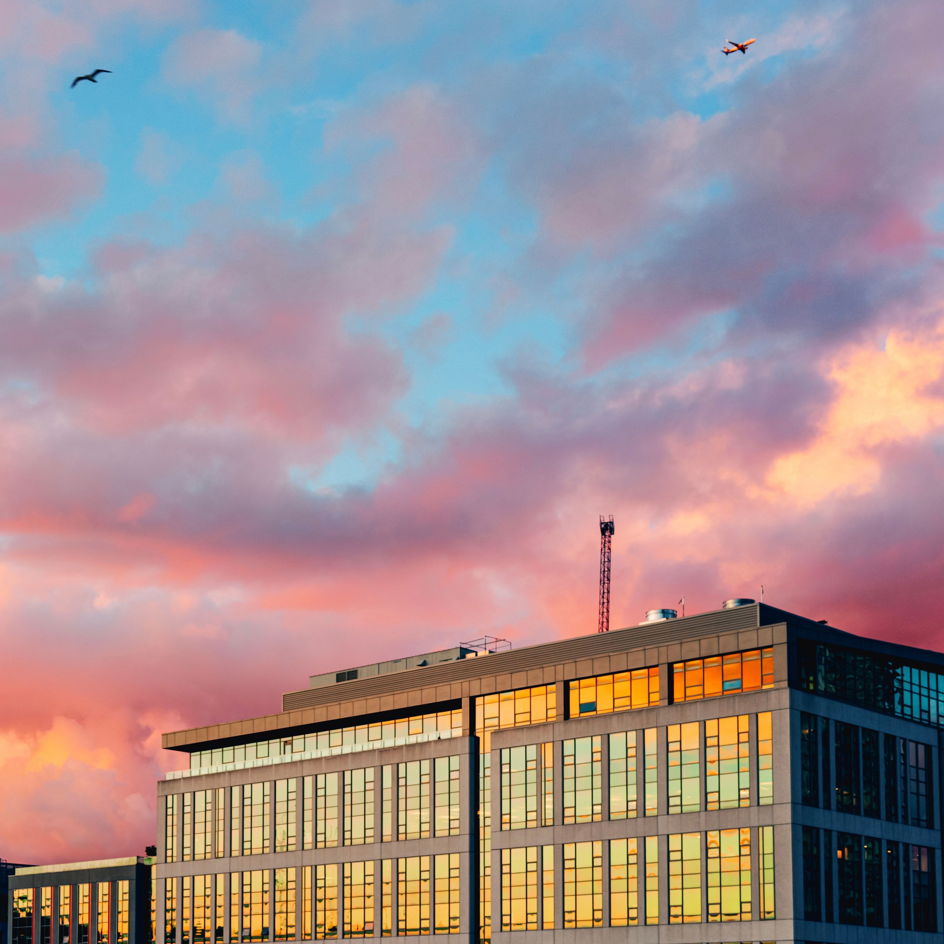 An office block with glowing windows under pink clouds, a gull and a plane in the sky.
