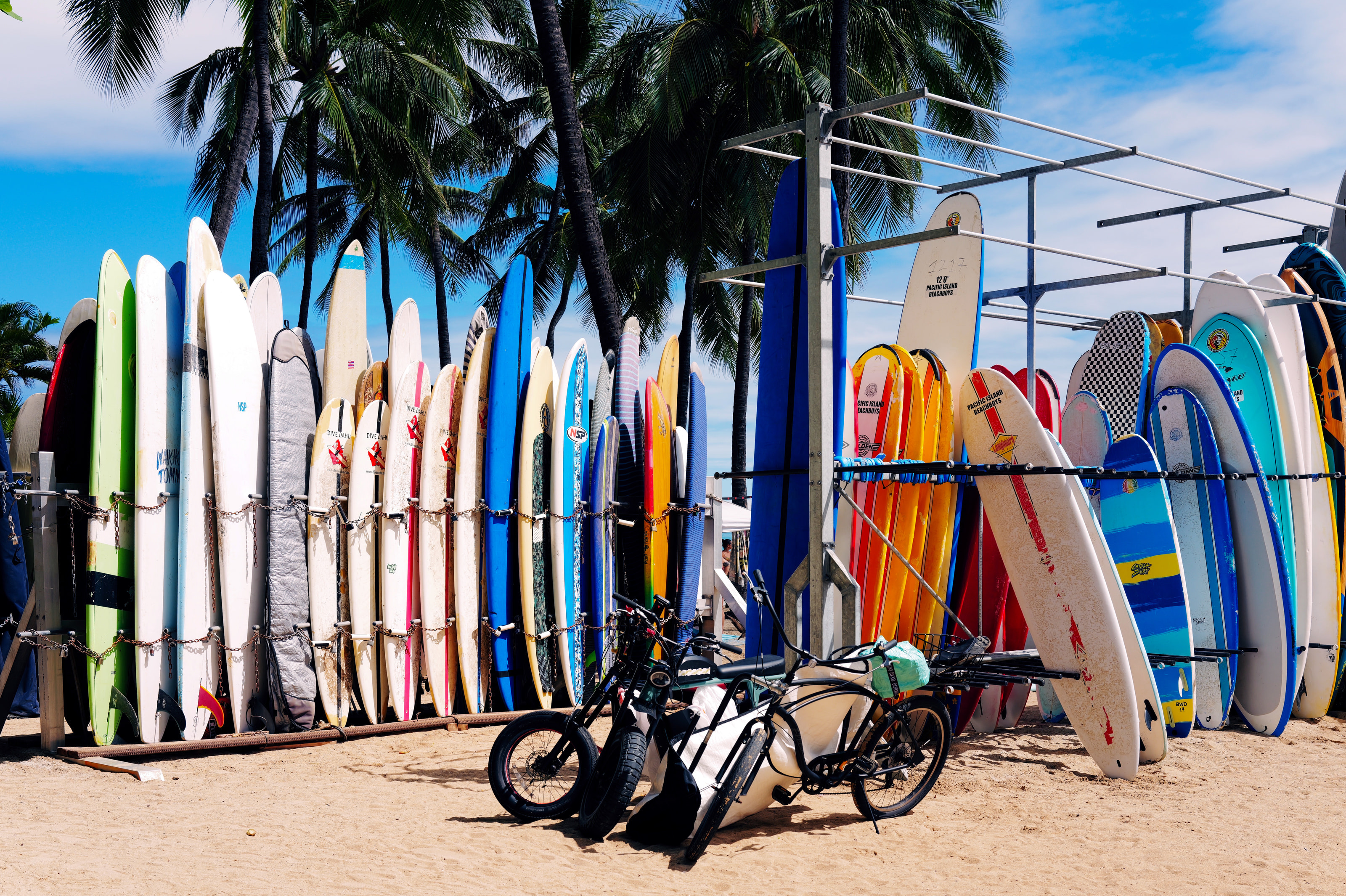 Rows of surfboards in a rack beneath palm trees, with a bike leaning in front.