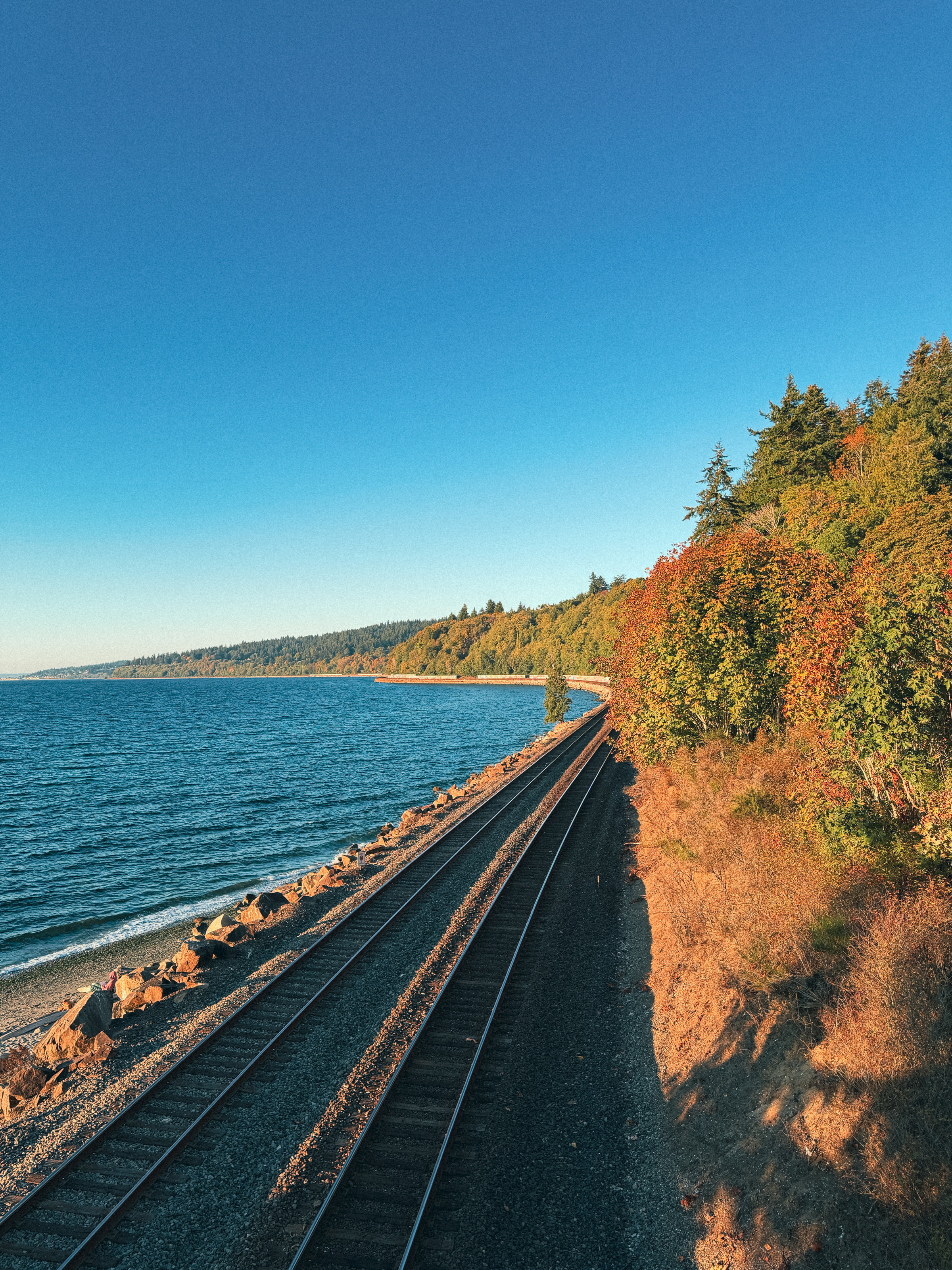 Railroad tracks curving along a shoreline with autumn foliage under a flat blue sky.