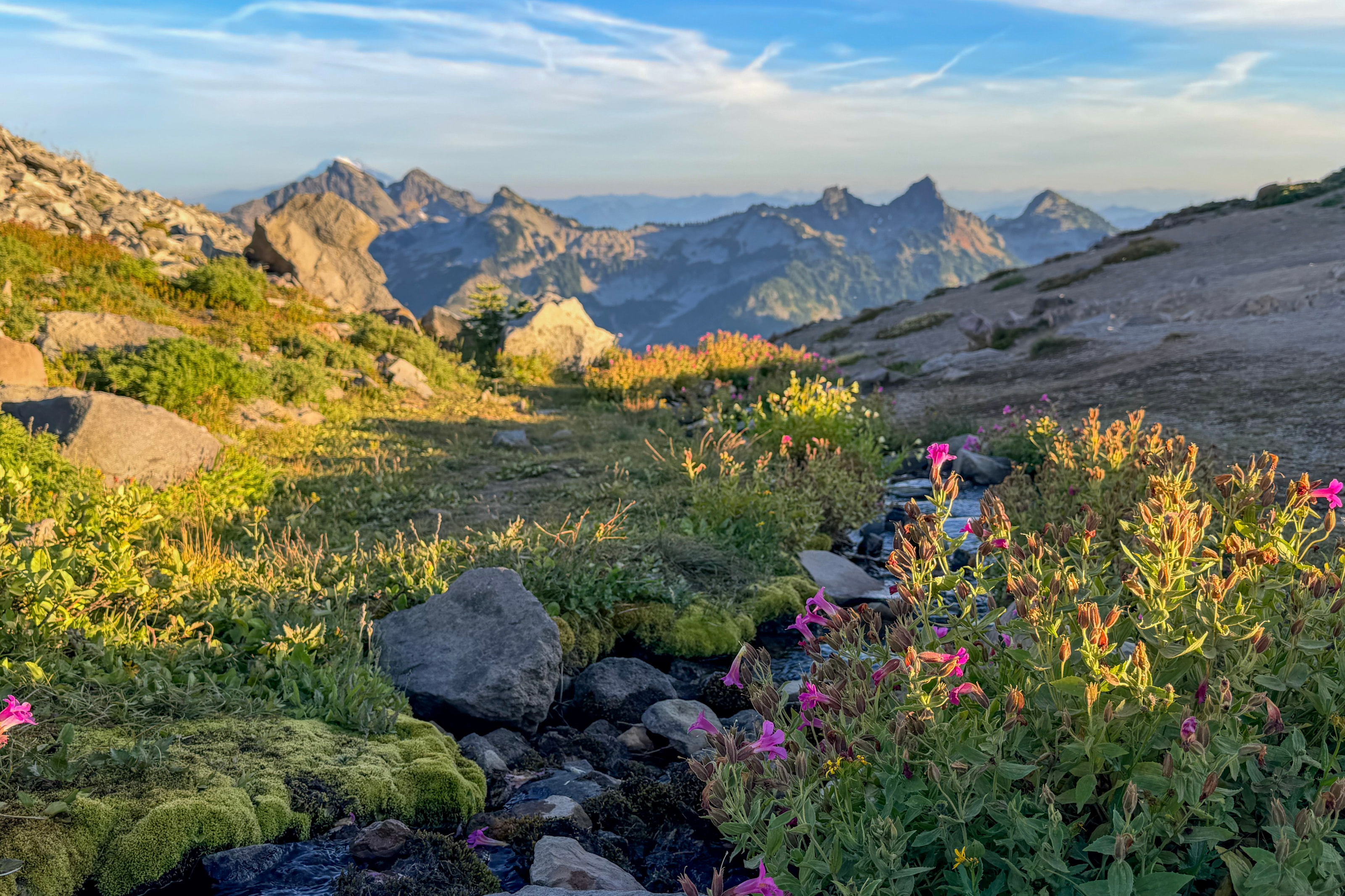 An alpine meadow with pink wildflowers along a stream, peaks behind.